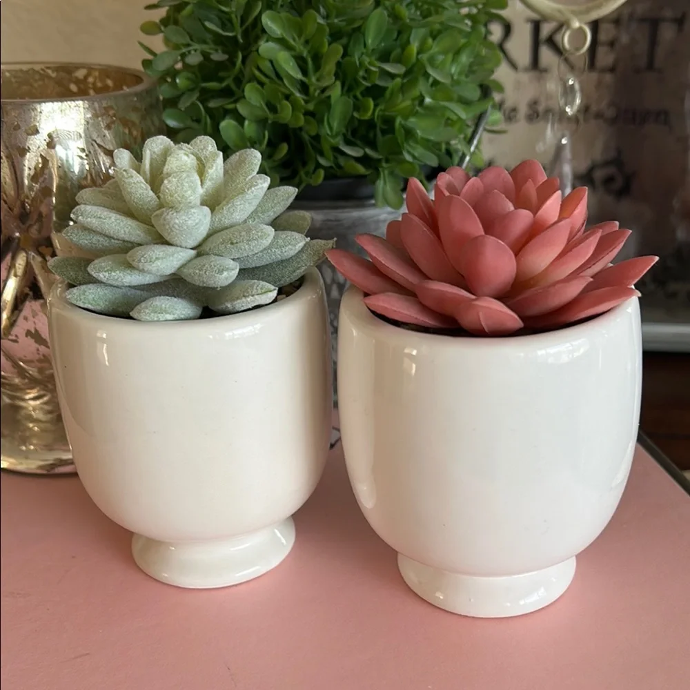 Feminine Face Planters with faux Succulents in pink and green set of two